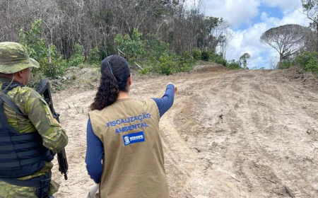ADEMA, COM APOIO DA POLÍCIA AMBIENTAL, AUTUA 34 PROPRIEDADES POR SUPERESSÃO ILEGAL DE VEGETAÇÃO