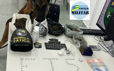 POLICIAIS MILITARES DO 5º BATALHÃO E DA CIPCÃES PRENDEM INFRATOR POR TRÁFICO DE DROGAS EM NOSSA SENHORA DO SOCORRO.