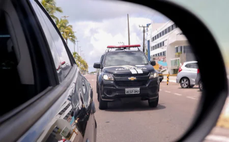 AÇÃO CONJUNTA PRENDE FORAGIDO EM SÃO PAULO.