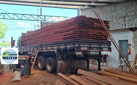 COMPANHIA FAZENDÁRIA E SEFAZ FLAGRAM VEÍCULO DE CARGA TRANSPORTANDO 18 METROS CÚBICOS DE MADEIRA SEM NOTA FISCAL EM NOSSA SENHORA DO SOCORRO.