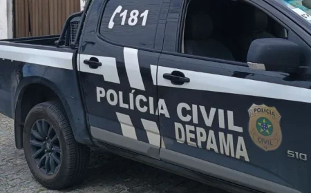 Operação conjunta resgata dois cavalos vítimas de maus-tratos em Aracaju
