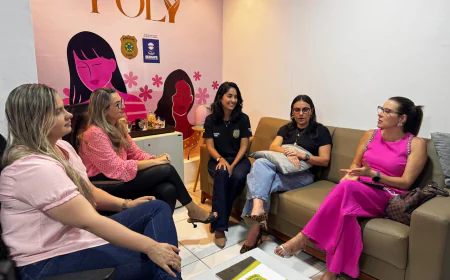 Projeto Poly aproxima Polícia Civil e Judiciário no combate à violência doméstica