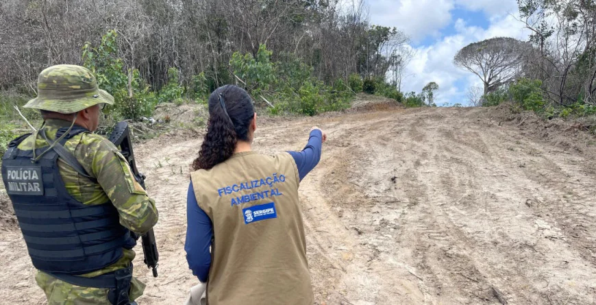 ADEMA, COM APOIO DA POLÍCIA AMBIENTAL, AUTUA 34 PROPRIEDADES POR SUPERESSÃO ILEGAL DE VEGETAÇÃO