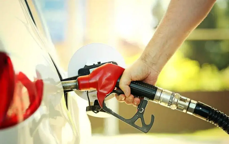 PETROBRAS REDUZ PREÇO DA GASOLINA EM 4,9% A PARTIR DESTA TERÇA-FEIRA, DIA 21. CERTAMENTE AQUI EM SERGIPE NÃO MUDARÁ NADA E OS POSTOS CONTINUARÃO PRATICANDO UM DOS PREÇOS MAIS CAROS DO PAÍS.